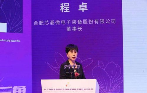 安徽六安女首富程卓發(fā)家史 打造國產光刻機龍頭企業(yè),身價24億元