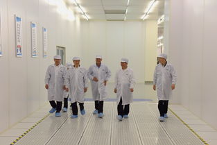 陳清泰調(diào)研長江存儲(chǔ)與武漢新芯，共話中國芯片產(chǎn)業(yè)發(fā)展